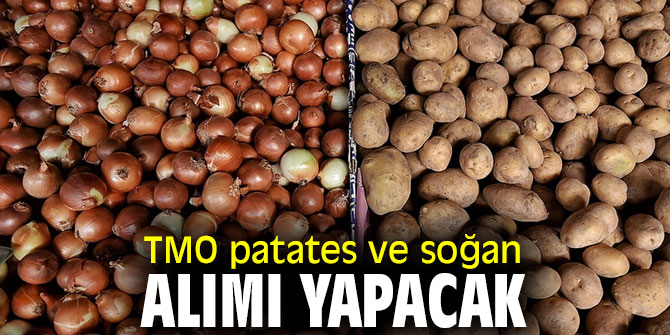 TMO'dan patates ve soğan alımı kararı!