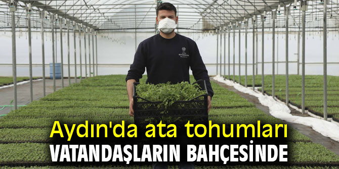 Aydın'da ata tohumları vatandaşların bahçesinde