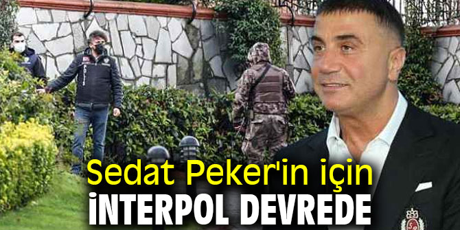 Sedat Peker'in için İnterpol devrede