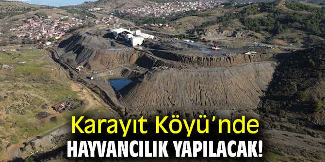 Karayıt Köyü’nde hayvancılık yapılacak!