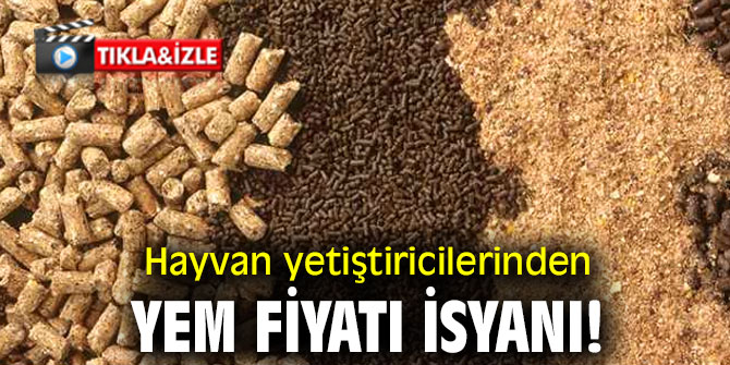 Hayvan yetiştiricilerinden yem fiyatı isyanı!