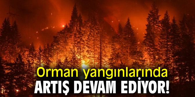 Orman yangınlarında artış devam ediyor!