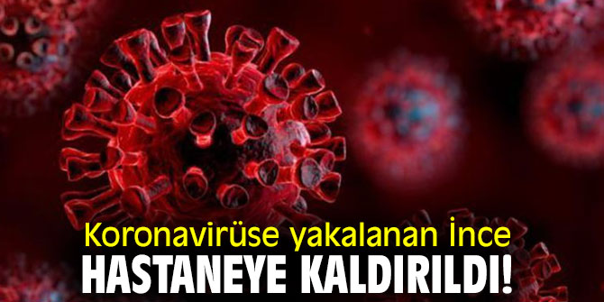 Koronavirüse yakalanan İnce hastaneye kaldırıldı!