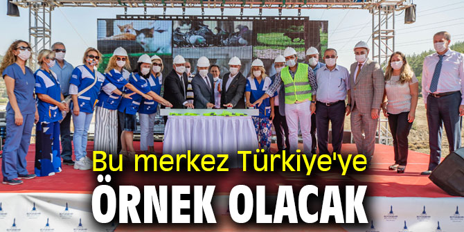 Sokak hayvanlarının yeni yuvası sonbahara hazır