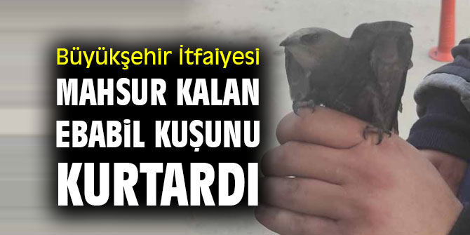Büyükşehir İtfaiyesi mahsur kalan ebabil kuşunu kurtardı