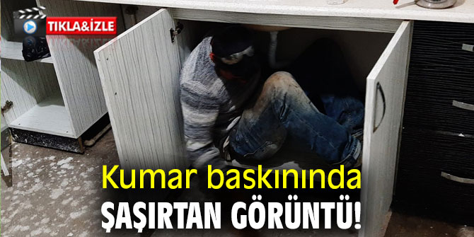 Mutfak dolabının içinden çıktı