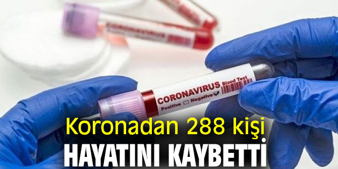 288 kişi hayatını kaybetti
