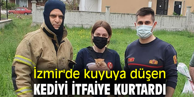İzmir'de kuyuya düşen kediyi itfaiye kurtardı