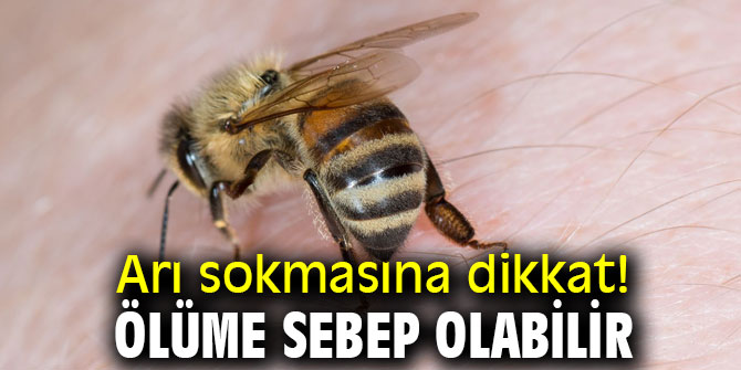 Arı sokmasına dikkat! Ölüme sebep olabilir