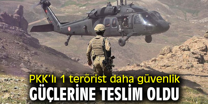 Bakanlık açıkladı! 1PKK’lı terörist teslim oldu!
