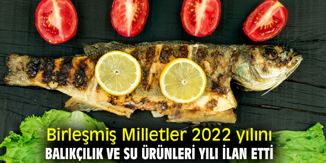 Birleşmiş Milletler 2022 yılını Balıkçılık ve Su Ürünleri Yılı ilan etti