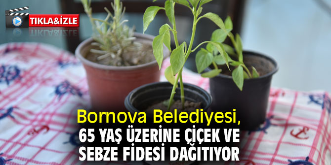 Bornova Belediyesi, 65 yaş üzerine çiçek ve sebze fidesi dağıtıyor