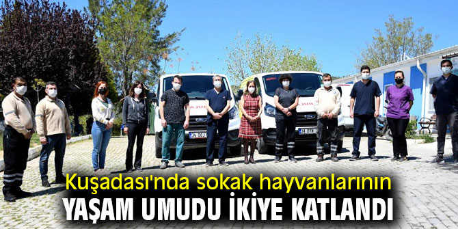 Kuşadası'nda sokak hayvanlarının yaşam umudu ikiye katlandı