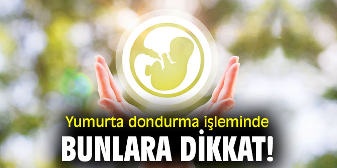 Yumurta dondurma işleminde bunlara dikkat!