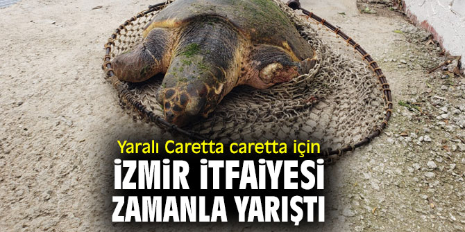 Yaralı Caretta caretta için İzmir İtfaiyesi zamanla yarıştı