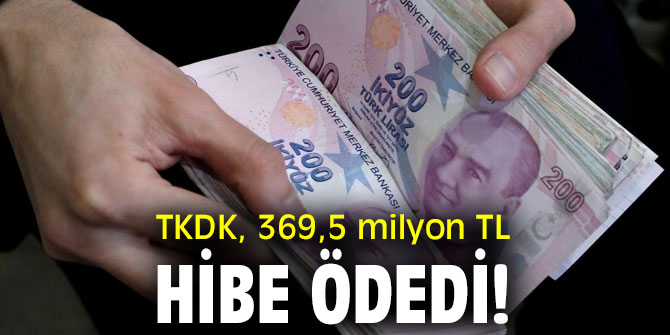 TKDK, 369,5 milyon TL hibe ödedi!