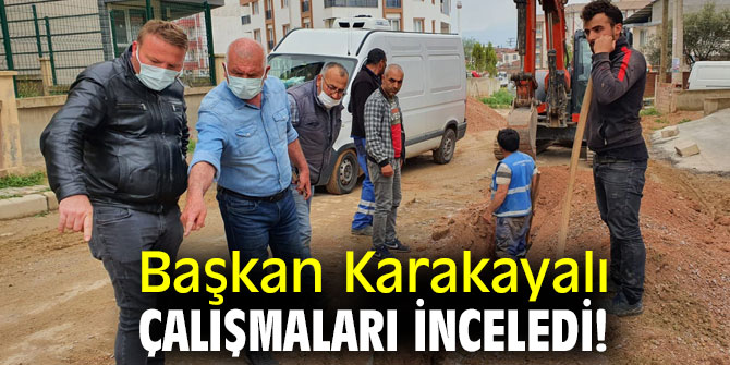 Başkan Karakayalı çalışmaları inceledi!
