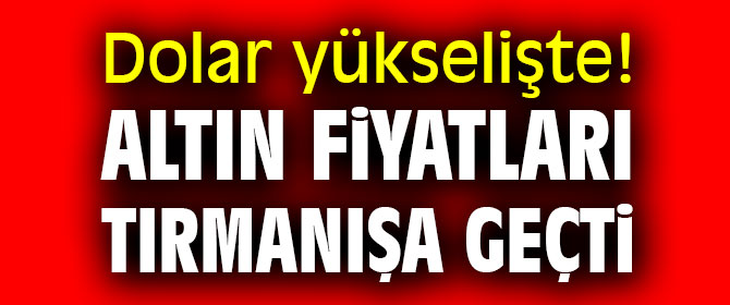 Dolar yükselişte! Altın fiyatları tırmanışa geçti