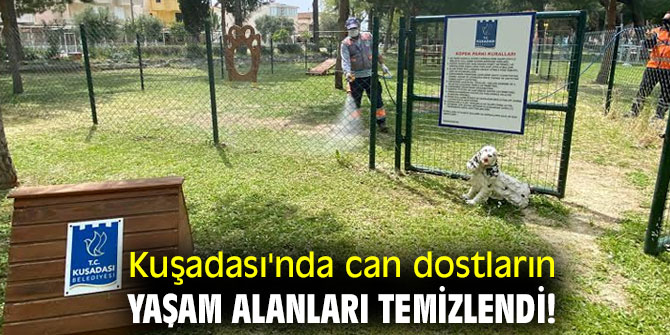 Kuşadası'nda can dostların yaşam alanları temizlendi!