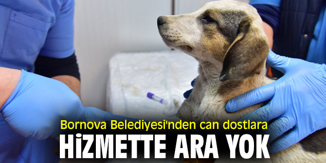 Bornova’da can dostlarına hizmette ara yok