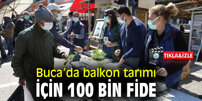 Buca’da balkon tarımı için 100 bin fide 
