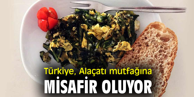 Türkiye, Alaçatı mutfağına misafir oluyor