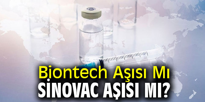 Biontech Aşısı Mı Sinovac Aşısı Mı?