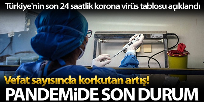 24 saatte 394 kişi hayatını kaybetti