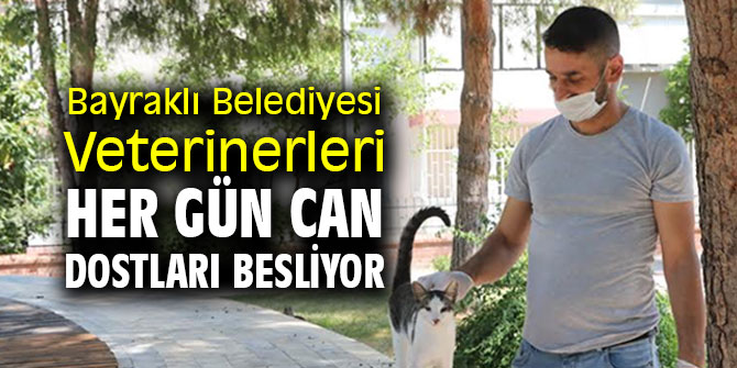 Bayraklı Belediyesi Veterinerleri her gün can dostları besliyor