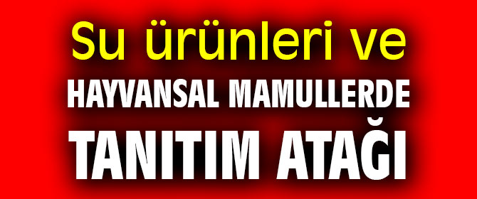 Su ürünleri ve hayvansal mamullerde tanıtım atağı