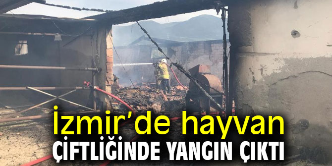 İzmir’de hayvan çiftliğinde yangın çıktı