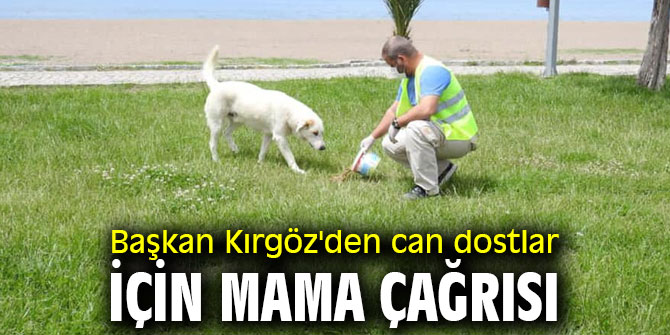 Başkan Kırgöz'den can dostlar için mama çağrısı