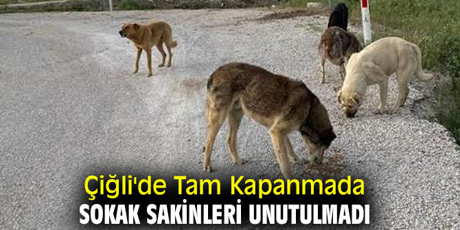 Çiğli'de Tam Kapanmada Sokak Sakinleri unutulmadı