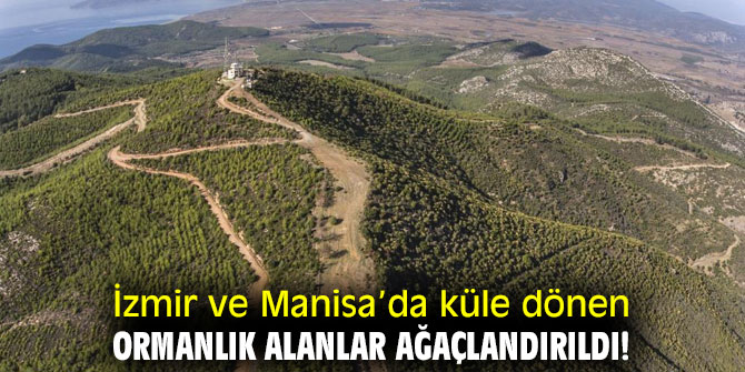 İzmir ve Manisa’da küle dönen ormanlık alanlar ağaçlandırıldı!