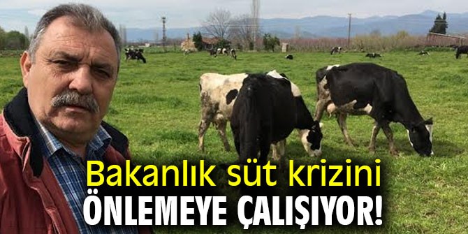 Bakanlık süt krizini önlemeye çalışıyor!