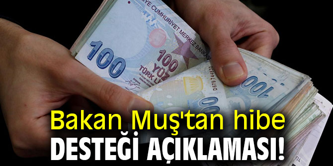 Bakan Muş'tan hibe desteği açıklaması! 