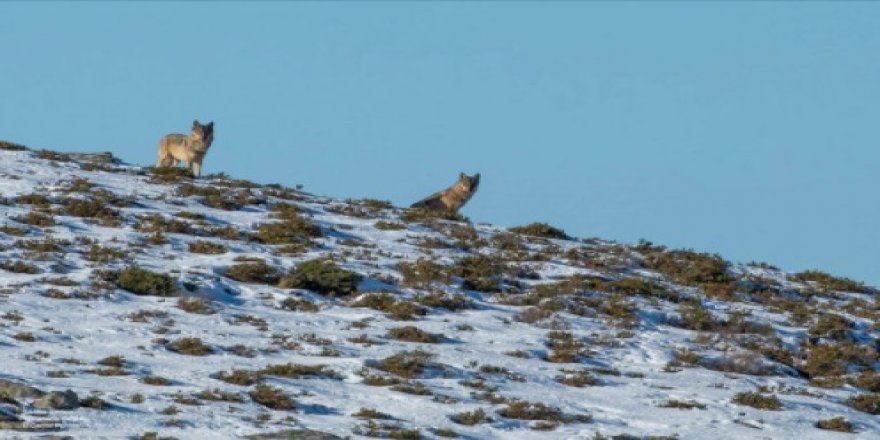 İzmir Konak Misak-ı Milli Ortaokulu'ndan özel seviyede İngilizce eğitimi 