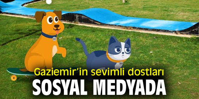 Gaziemir’in sevimli dostları sosyal medyada