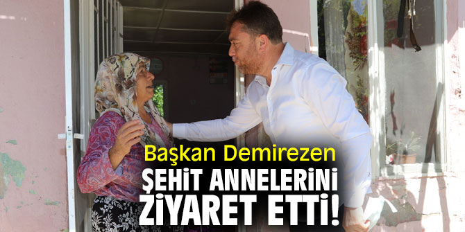 Başkan Demirezen, şehit annelerini ziyaret etti!