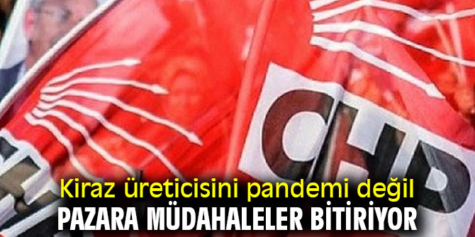 Kiraz üreticisini pandemi değil pazara müdahaleler bitiriyor