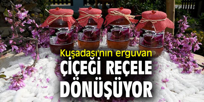 Kuşadası'nı erguvan çiçeği reçele dönüşüyor