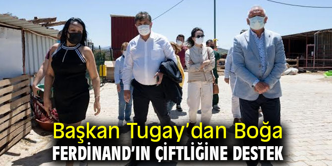 Başkan Tugay’dan Boğa Ferdinand’ın çiftliğine destek 