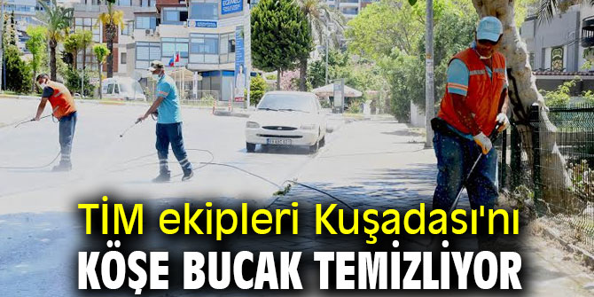 TİM ekipleri Kuşadası'nı köşe bucak temizliyor
