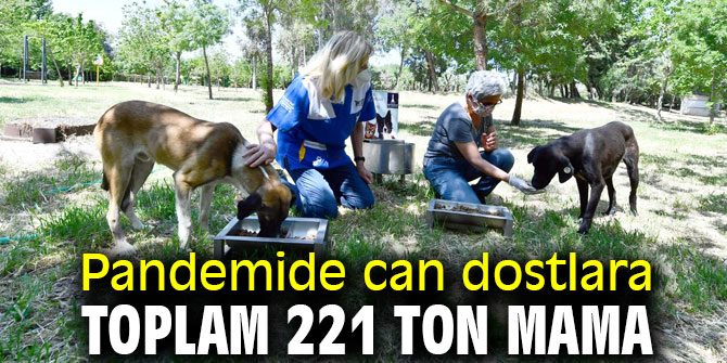 Pandemide can dostlara toplam 221 ton mama