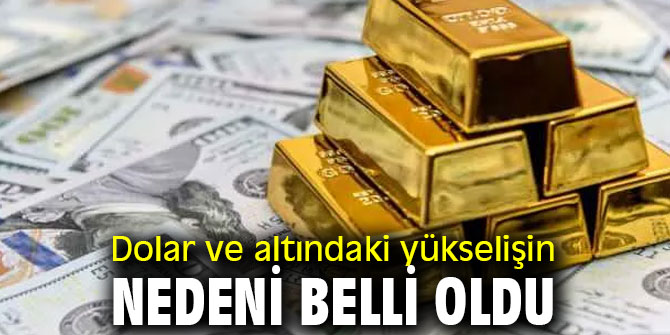 Dolar ve altındaki yükseliş sürüyor! İşte nedeni