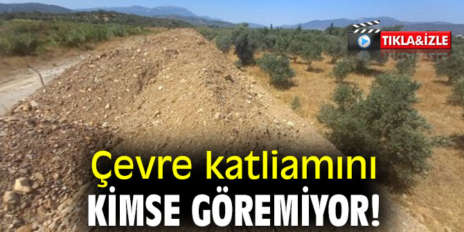 ÇEVRE KATLİAMINI KİMSE GÖREMİYOR!