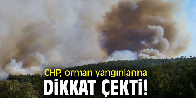 CHP, orman yangınlarına dikkat çekti!