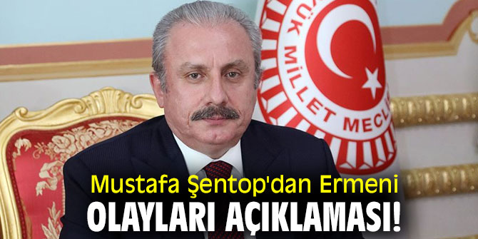 Mustafa Şentop'dan Ermeni olayları açıklaması!