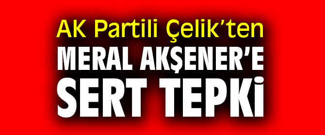 AK Partili Çelik’ten Meral Akşener’e sert tepki