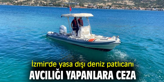 İzmir'de yasa dışı deniz patlıcanı avcılığı yapanlara ceza